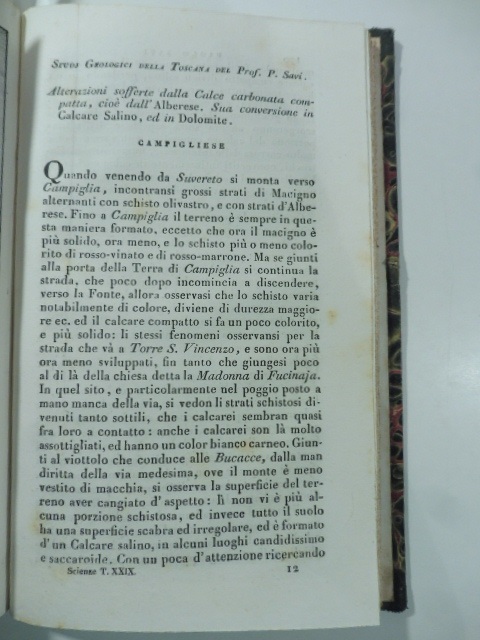 Studi geologici della Toscana del Prof. P. Savi. Alterazioni sofferte dalla calce carbonata compatta, cioè dall'Alberese. Sua conversione in calcare salino ed in dolomite. (Stralcio da: Nuovo giornale de' letterati. N. 78. 1834)